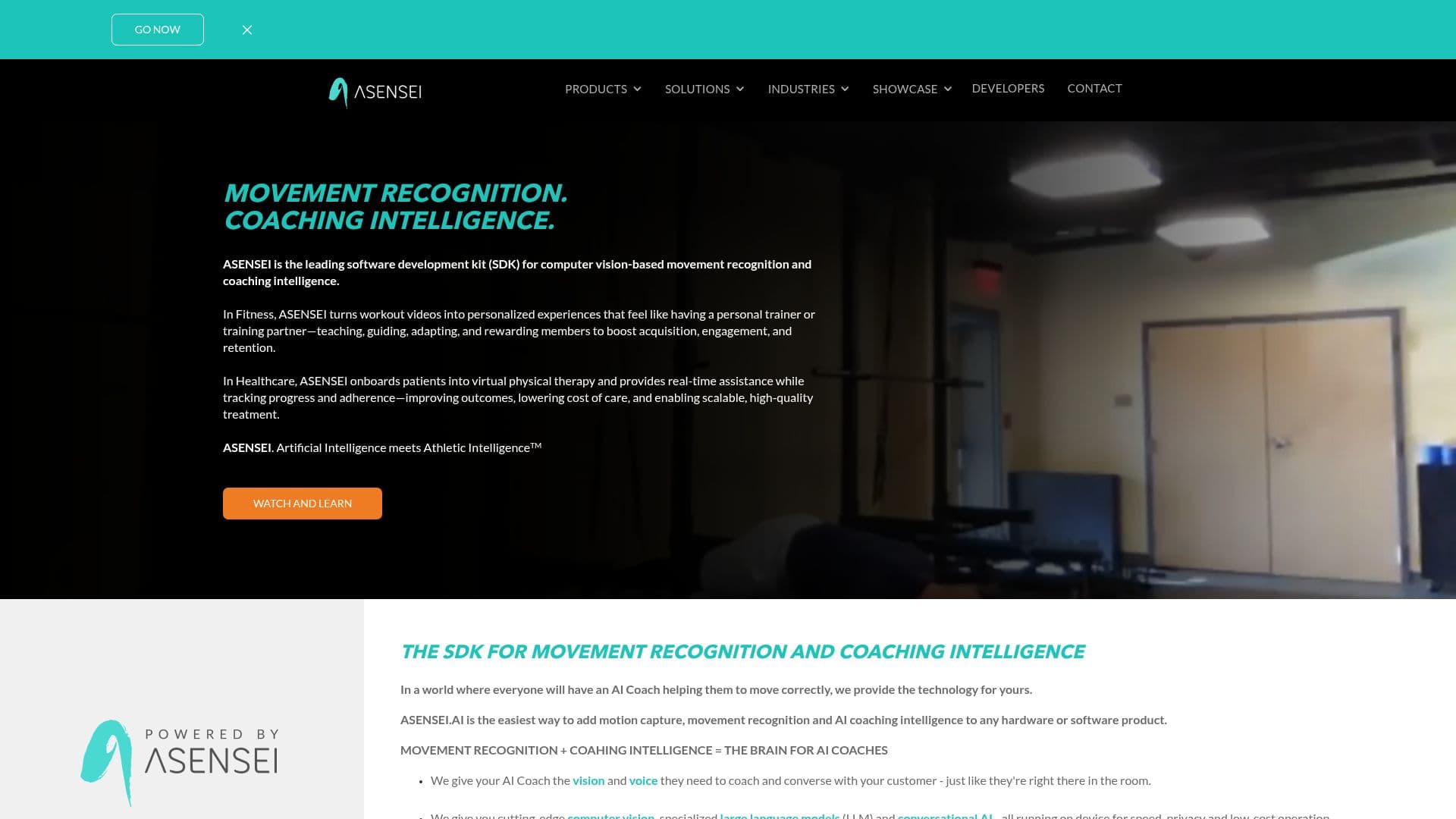 asensei | SDK de Reconhecimento de Movimento screenshot