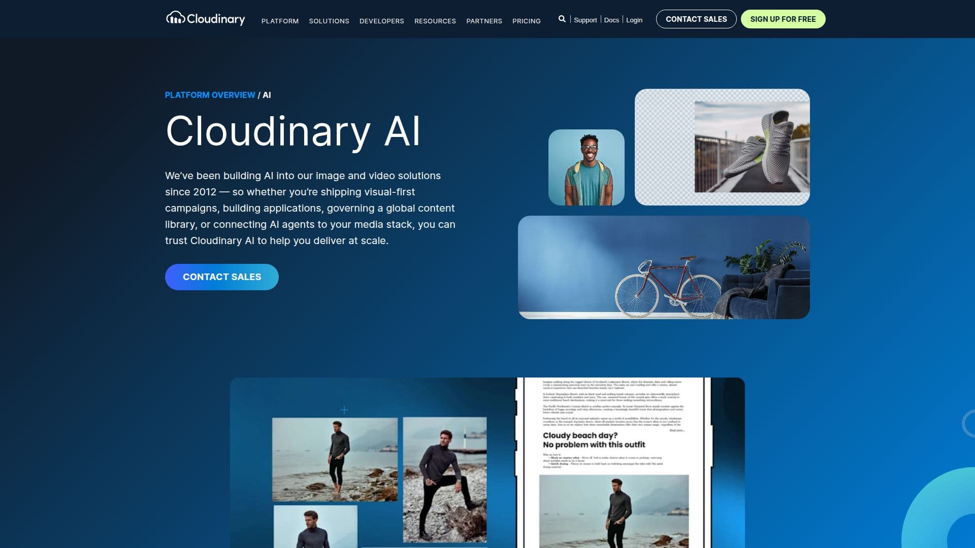 Cloudinary AI screenshot