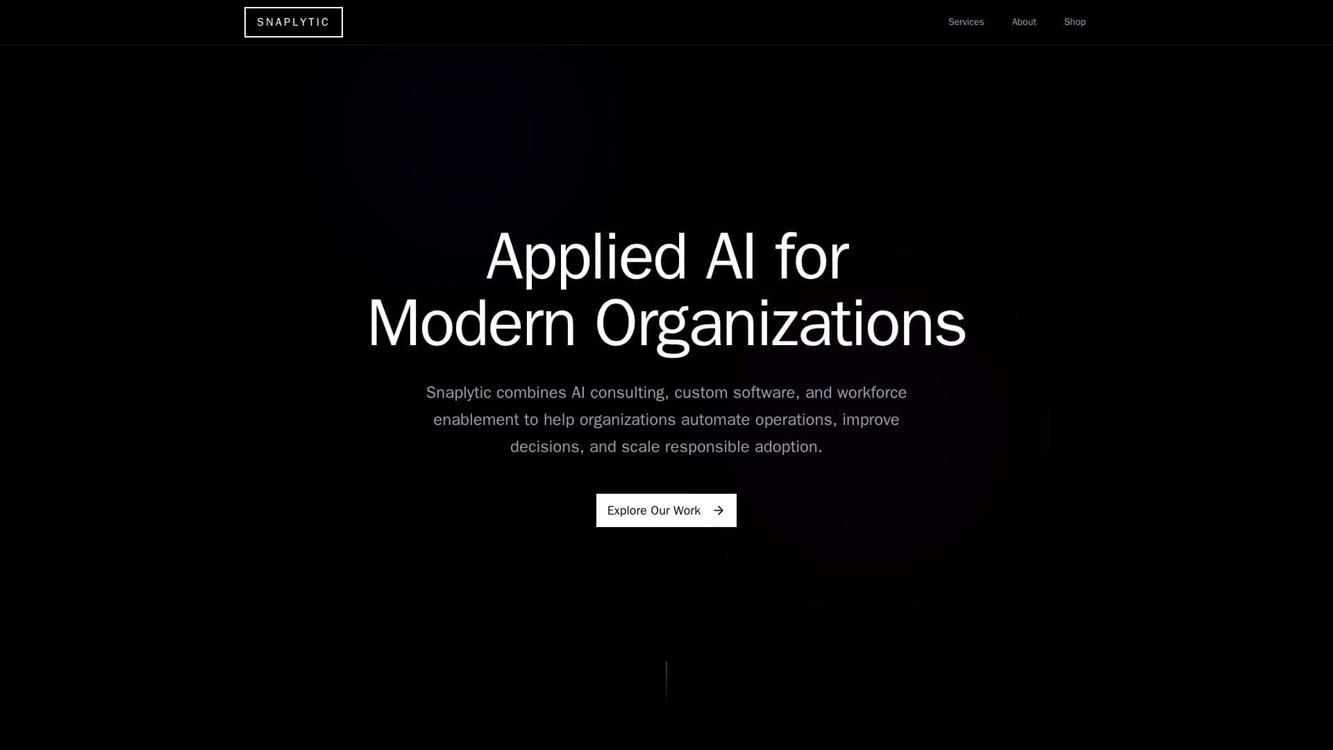 Snaplytics AI Solutions screenshot