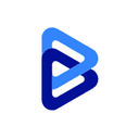 Software de Serviços Profissionais BigTime logo