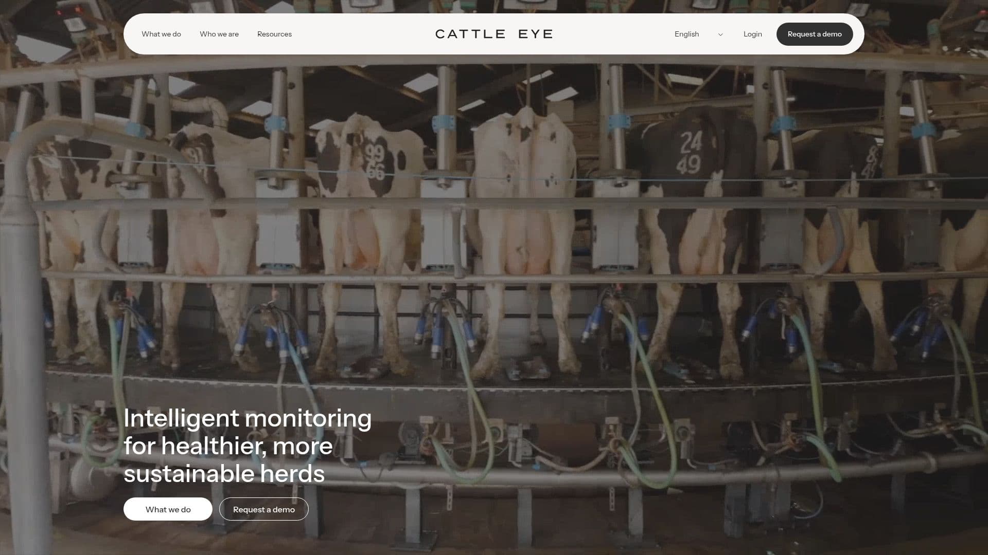 CattleEye AI Monitoring screenshot