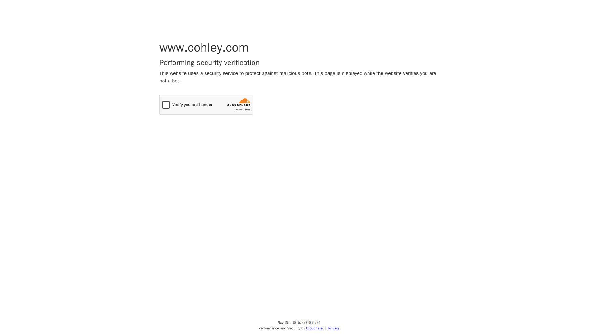 Cohley AI Platform screenshot