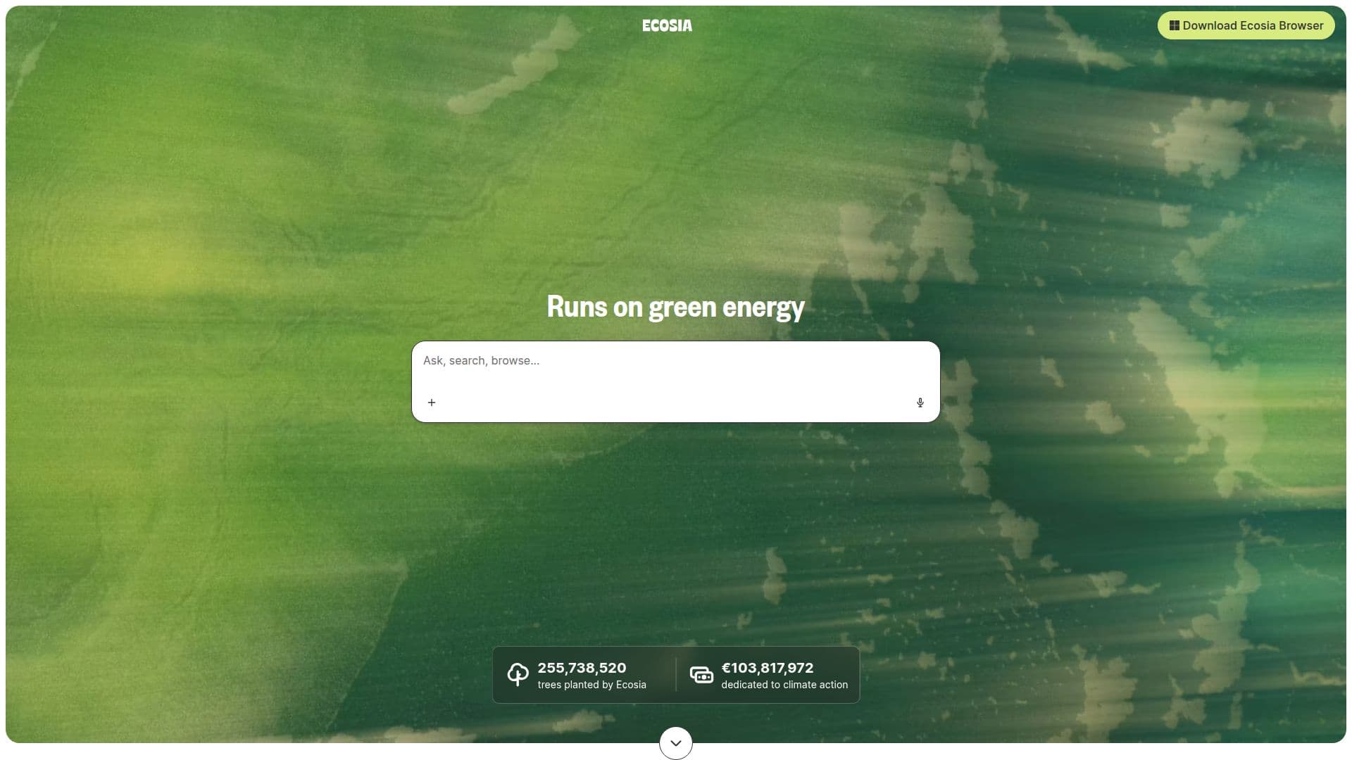 Ecosia - Motor de Busca para Plantio de Árvores screenshot