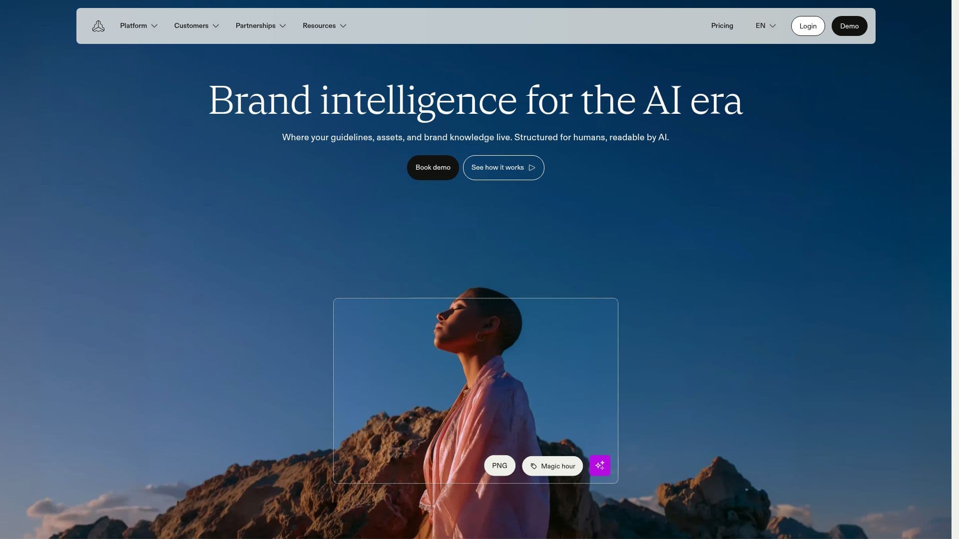 Frontify: Plataforma de Inteligência de Marca screenshot