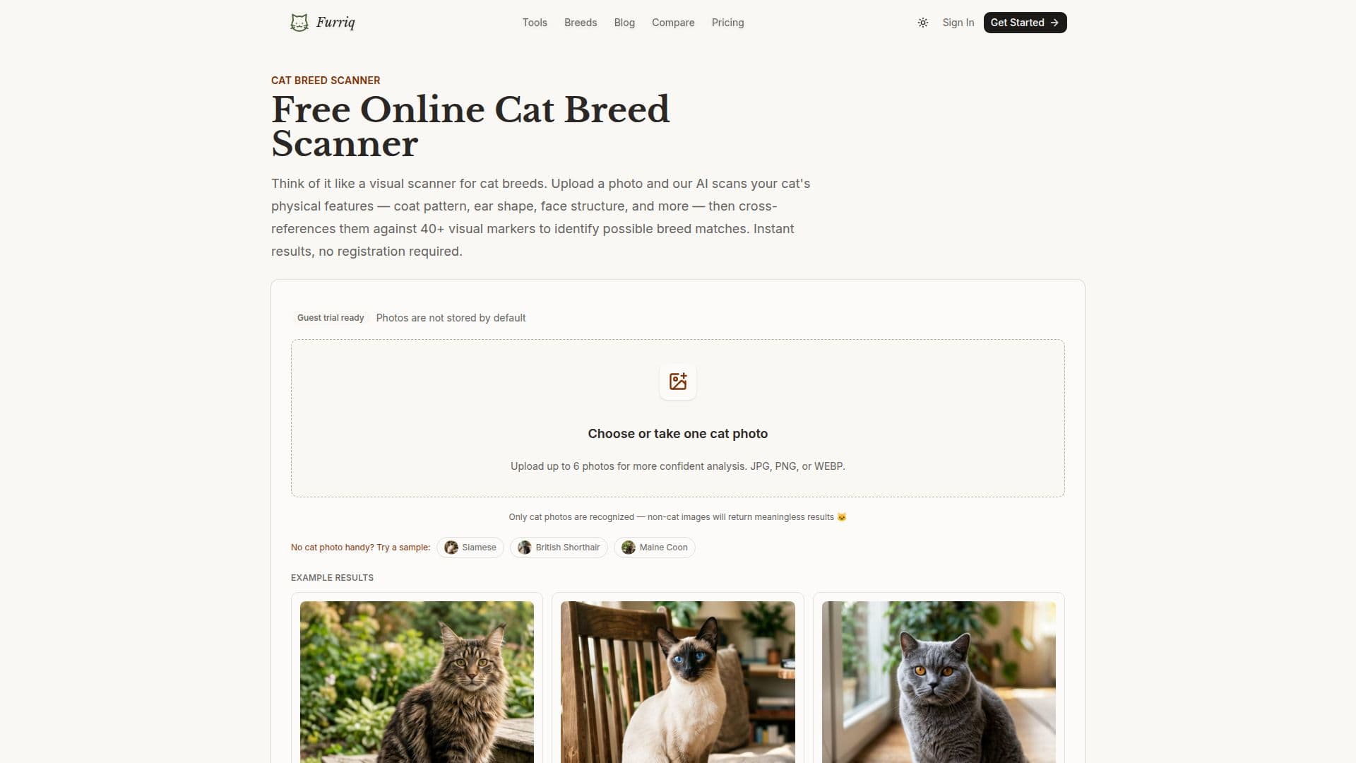 Escáner de Razas de Gatos screenshot